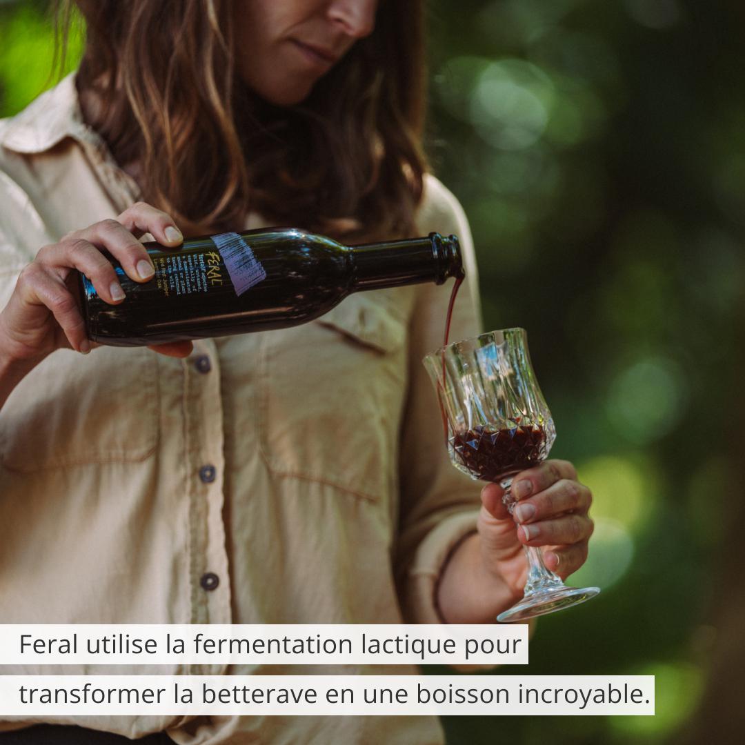 Feral utilizza la fermentazione lattica per trasformare la barbabietola in una bevanda incredibile Feral utilizza la fermentazione lattica per trasformare la barbabietola in una bevanda incredibile